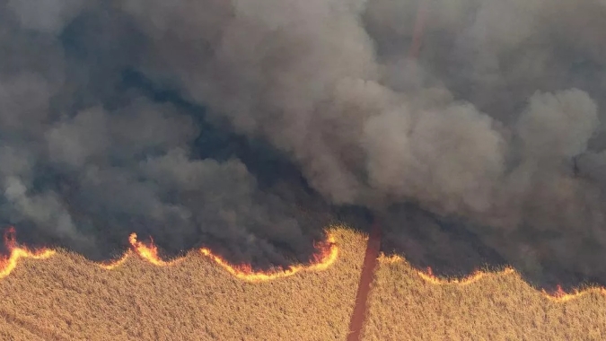Incêndios florestais podem acarretar uma quebra de safra da cana de cerca de 15%, com prejuízos acima de R$ 2,5 bilhões para o setor