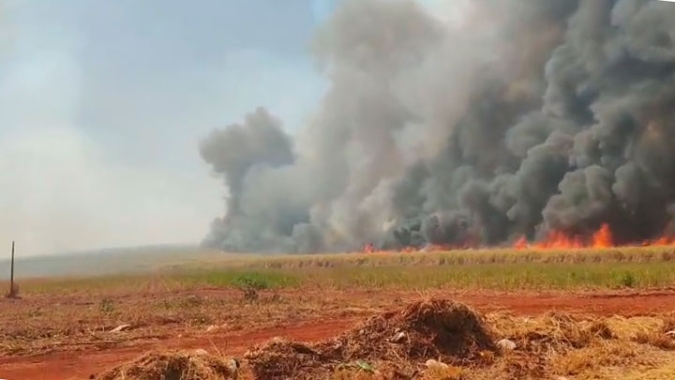 Prejuízos aos produtores de cana-de-açúcar por conta de incêndios chega a R$ 1,2 bilhão, segundo nova atualização da Orplana