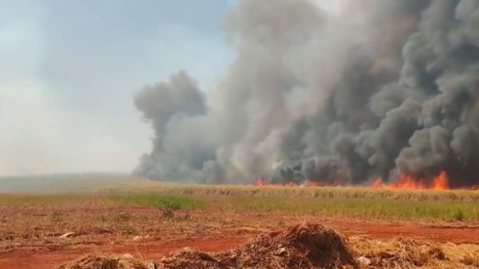 Unica diz que incêndios em canaviais de SP atingiram mais de 230 mil hectares