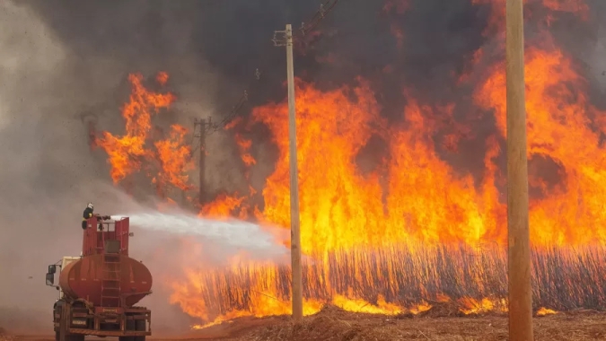 Operação SP Sem Fogo: Com previsão de até 39°C, áreas rurais seguem com risco de queimada