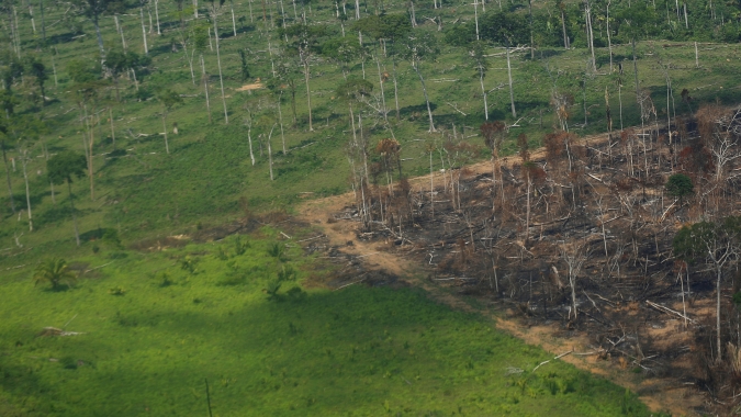Reuters: Desmatamento na Amazônia atinge recorde em setembro com aumento de focos de incêndios