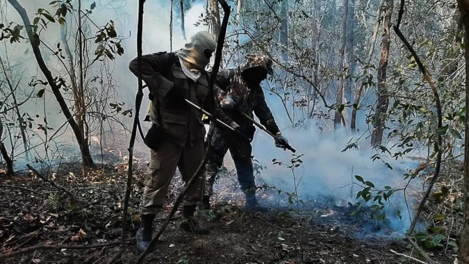 Dois estados decretam emergência em razão de incêndios no Pantanal