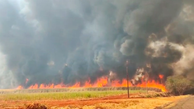 Orplana atualiza impacto dos incêndios para 414 mil hectares de cana em todo Brasil