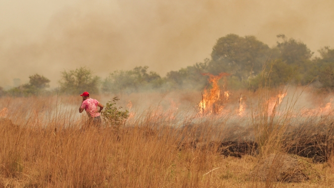 Incêndios seguem arrasando província argentina de Corrientes