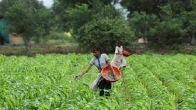 Agricultores na Índia temem que novas usinas de etanol restrinjam acesso a água