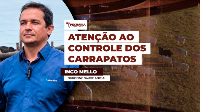 Controle do carrapato exige monitoramento e estratégia para evitar prejuízos à produção