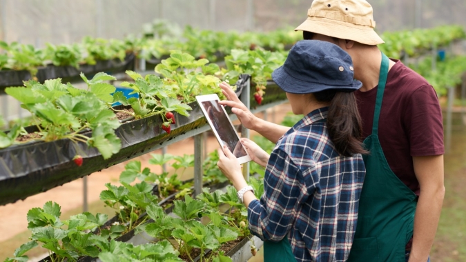 Instituto TIM lança curso gratuito sobre transformação digital no agronegócio