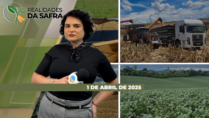 Realidades da Safra 01/04/2025 - Perda no potencial produtivo no Paraguai chega a 30%; desafios climáticos podem impactar milho no Sul e Centro-Oeste; Campo Novo do Parecis (MT) recebe boas chuvas
