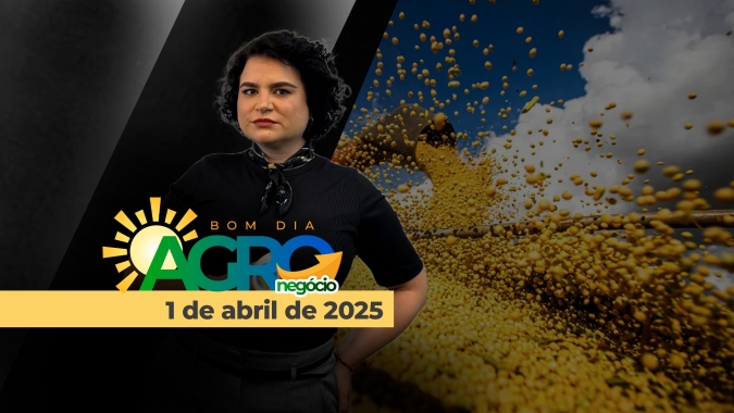 Bom Dia Agro 01/04/2025 - Preços da soja caem após relatório de estoques do USDA; China promete decisão justa em investigação de tarifas sobre carne bovina