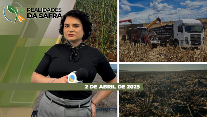 Realidades da Safra 02/04/2025 - Plantio do milho safrinha com atraso no MT; segunda safra do cereal adiantada em Aral Moreira (MS); estresse hídrico prejudica milho em Chapecó (SC)