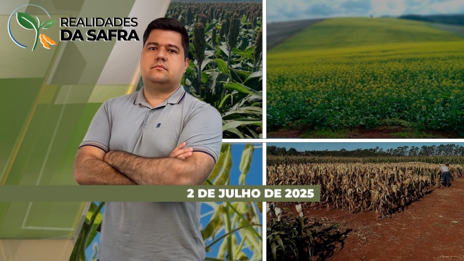 Colheita do milho deve registrar grandes produtividades em Querência/MT e Mineiros/GO