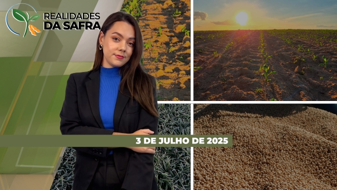 Clima favorece andamento da colheita no Paraguai, enquanto safra do café robustas apresenta boas perspectivas de produção
