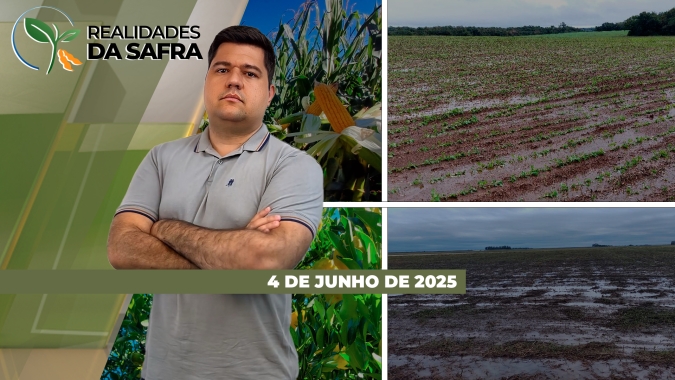 Colheita do milho começa lenta com produtores ainda preocupados com clima em Maracaju/MS e Francisco Beltrão/PR