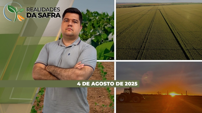 Colheita do milho se encerrando com altas produtividades em Barra do Garças/MT e avançando com resultados variados em São Paulo