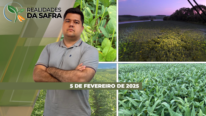 Chuva impede colheita no Mato Grosso e estiagem tira produção no Rio Grande do Sul