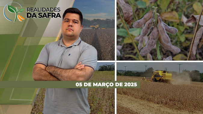 Colheita da soja finalizada em Assis Chateaubriand/PR e começando em Santo Ângelo/RS, mas apresentando perdas nas duas regiões
