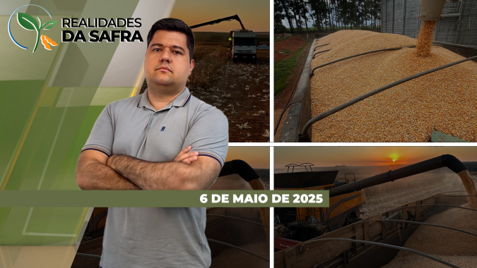 Colheita do milho vai se aproximando com boas expectativas em Ipiranga do Norte/MT, Chapadão do Sul/MS e Assis Chateaubriand/PR