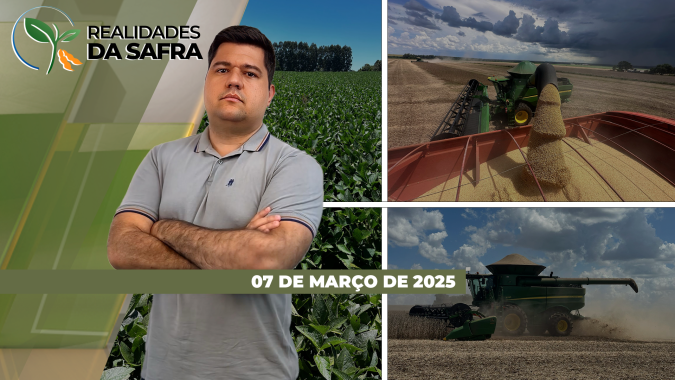 Colheita da soja registrou boas produtividades em Chapadão do Céu/GO, Sinop/MT e Francisco Beltrão/PR