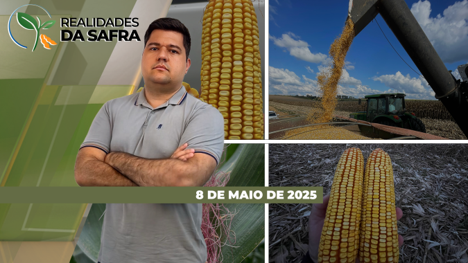 Colheita da safrinha de milho se aproxima com boas expectativas no Mato Grosso e no Paraná