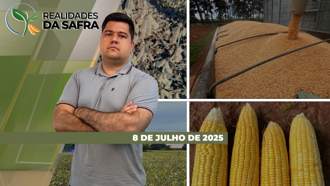 Safra de trigo vai seguir com desafios climáticos no Rio Grande do Sul e aumento da produção do Cerrado passa a ser alternativa