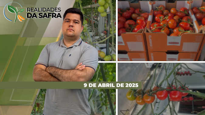 Sidrolândia/MS espera boa safra de milho enquanto Paraguai já tem perdas consolidadas