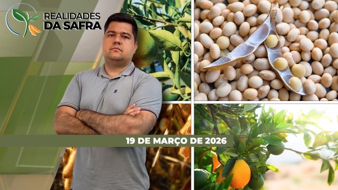 Colheita da soja segue atrasada no Mato Grosso do Sul, enquanto Rio Grande do Sul inicia colheita dos citrus