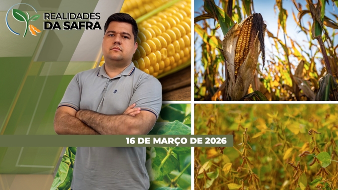 Paraguai fecha boa safra de soja, mas agora sofre com pragas e falta de chuvas para o milho
