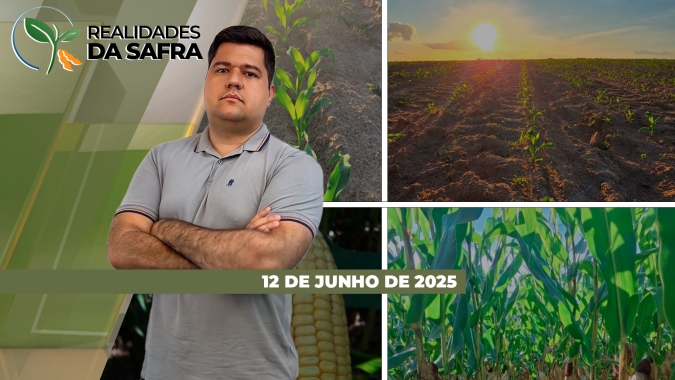 Mato Grosso do Sul espera boa safra de milho e Rio Grande do Sul se preocupa com presença de daninhas no arroz