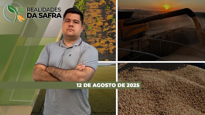 Safra de milho teve alerta para quebra da resistência para lagartas; colheita registra bons resultados em Chapadão do Sul/MS