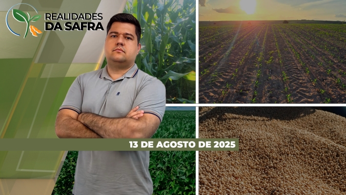Colheita do milho encerrada com perda de produtividade em Tapurah/MT e Marechal Cândido Rondon/PR