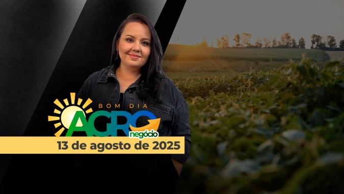 Bom Dia Agro 13/08/2025: Pacote contra o tarifaço, bravata política BR x EUA, números do USDA e o mercado da soja
