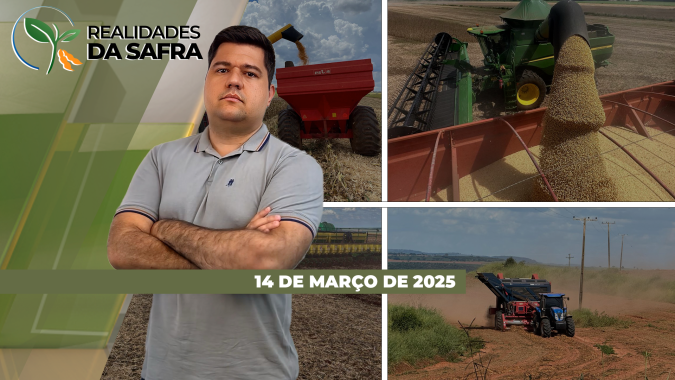Goiás fecha safra de soja bastante positiva, enquanto Querência/MT teve pequenas quedas e Maringá/PR muitas perdas