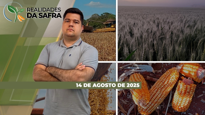 Lavouras de inverno se desenvolvem bem no Rio Grande do Sul, após inicio complicado