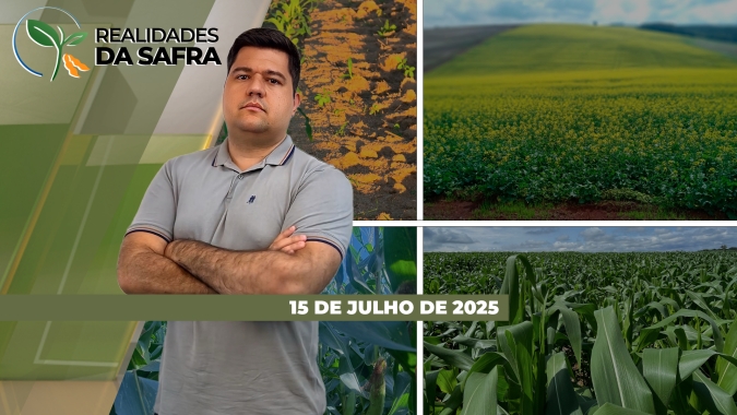 Colheita do milho entra na reta final em Palotina/PR e Darcinópolis/TO