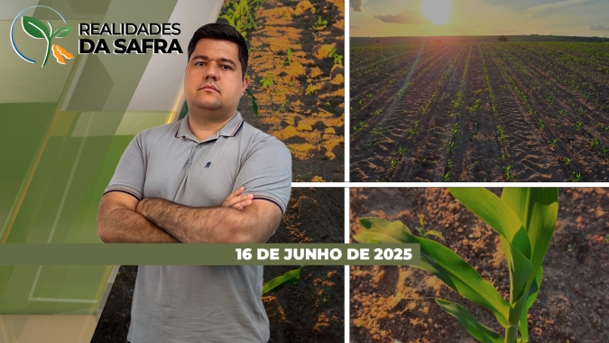 Colheita do milho ainda engatinha em Itambé/PR enquanto Passo Fundo/RS avança nos plantios de inverno