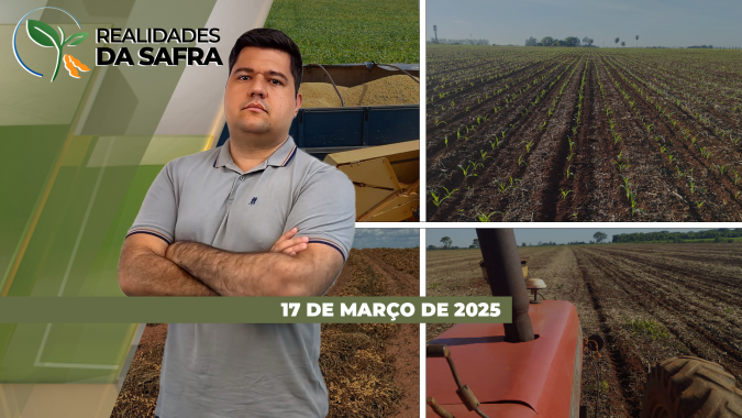 Laguna Carapã/MS e Canindeyú no Paraguai fecham soja com perdas, enquanto produtores do Sealba se mobilizam contra mudanças do Proagro
