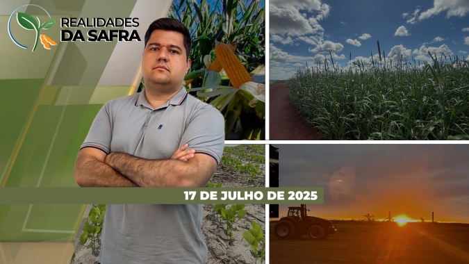 Colheita do milho ganhou ritmo e avança rápido em Mato Grosso, Cascavel/PR e Laguna Carapã/MS