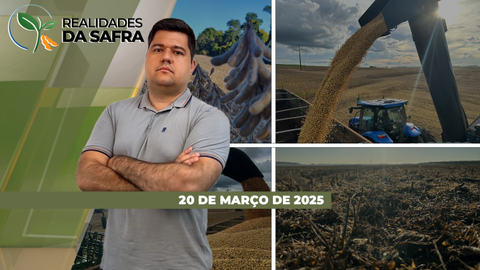 Safrinha de milho se desenvolve bem em Sorriso/MT e em Jataí/GO, enquanto colheita do arroz avança no RS