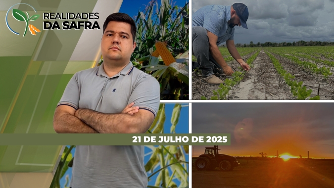 Colheita do milho avança com resultados abaixo do esperado em Rondonópolis/MT e Ipameri/GO