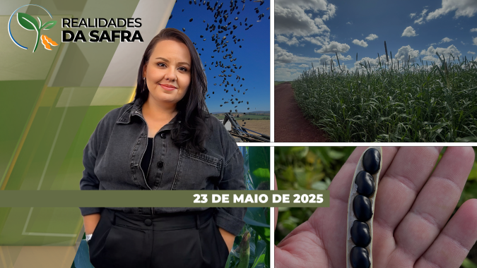 Realidades da Safra 23/05/2025 - Agroconsult estima safrinha de milho em mais de 112 mi de t, enquanto SP e MS seguem atentos ao clima