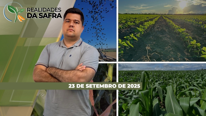 Plantio da soja começou em Nova Ubiratã/MT e segue avançando no Brasil