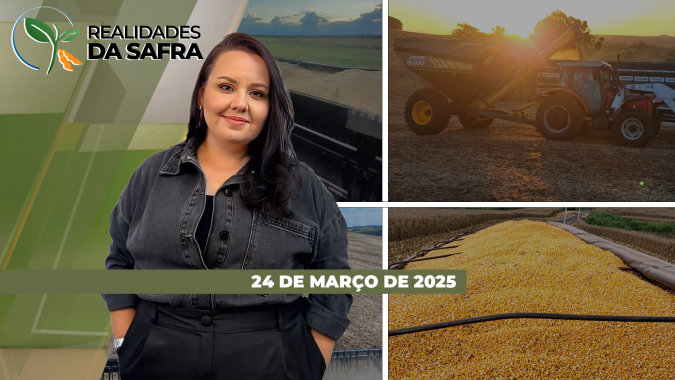 Realidades da Safra 24/03/2025 - Chuvas irregulares e altas temperaturas prejudicando as safras em MT e PI; norte do MS favorecido pelo clima