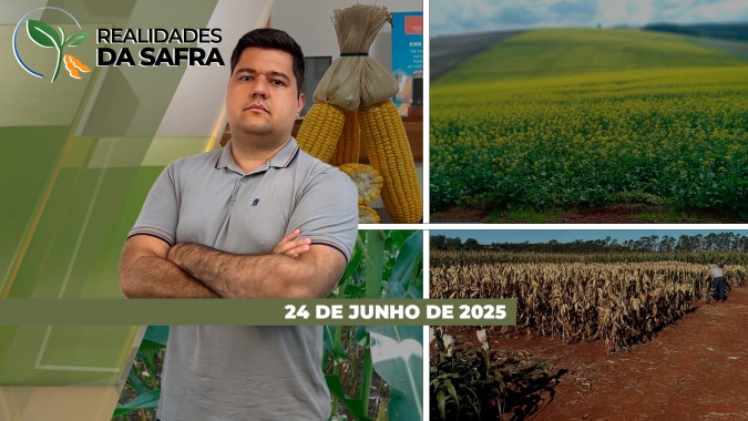 Frio prejudica milho do Paraguai e chuva paralisa colheita em Marechal Cândido Rondon/PR