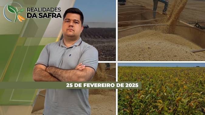 Safra de soja teve bons resultados em Campo Novo do Parecis/MT, mas registrou perdas em Palotina/PR