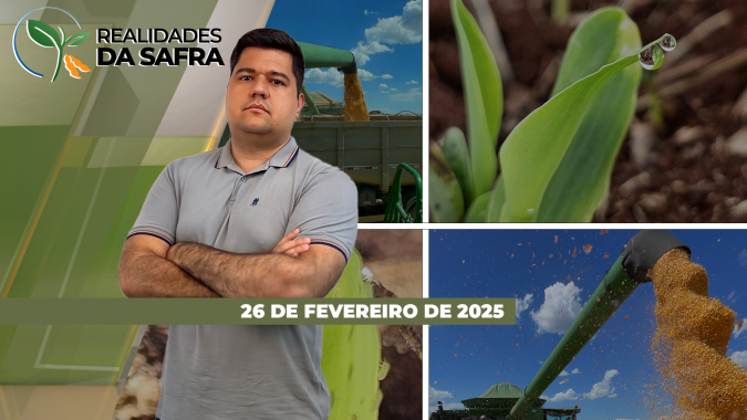 Colheita da soja ganhou ritmo na última semana com melhora do clima em alguns dos principais estados produtores