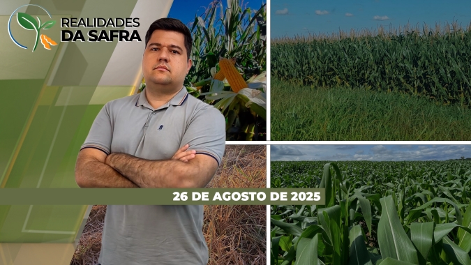 Plantio da soja começa a avançar em Rondonópolis/MT e Amambai/MS