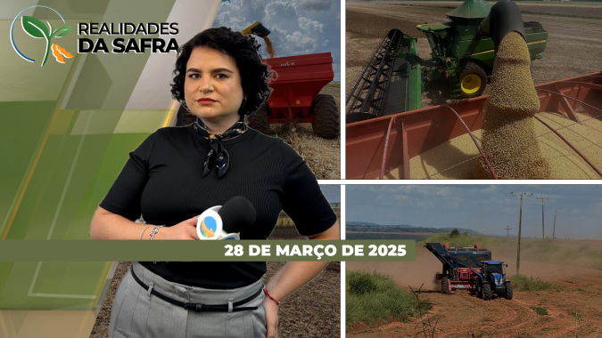 Realidades da Safra 28/03/2025 - Milho segunda safra sofre com o estresse hídrico; colheita da soja adiantada na Bahia