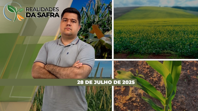 Colheita do milho segue em 68% com projeção de 108,9 milhões de toneladas