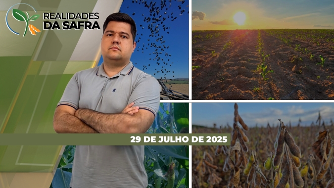 Colheita do milho perto do fim em Itambé/PR, mas ainda no início em Maracaí/SP