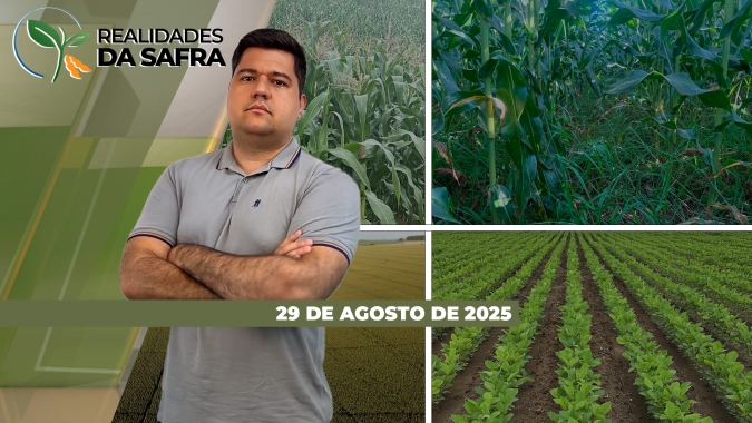 Paraná inicia safra de verão 25/26 esperando aumento de área para milho e soja